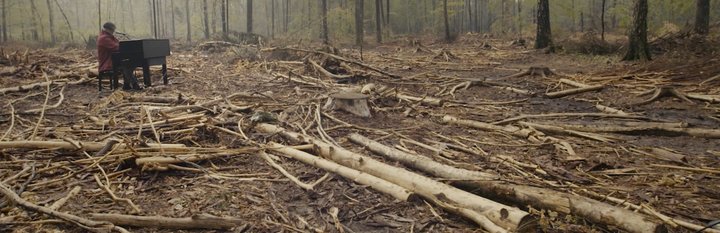 Greenpeace — manifest